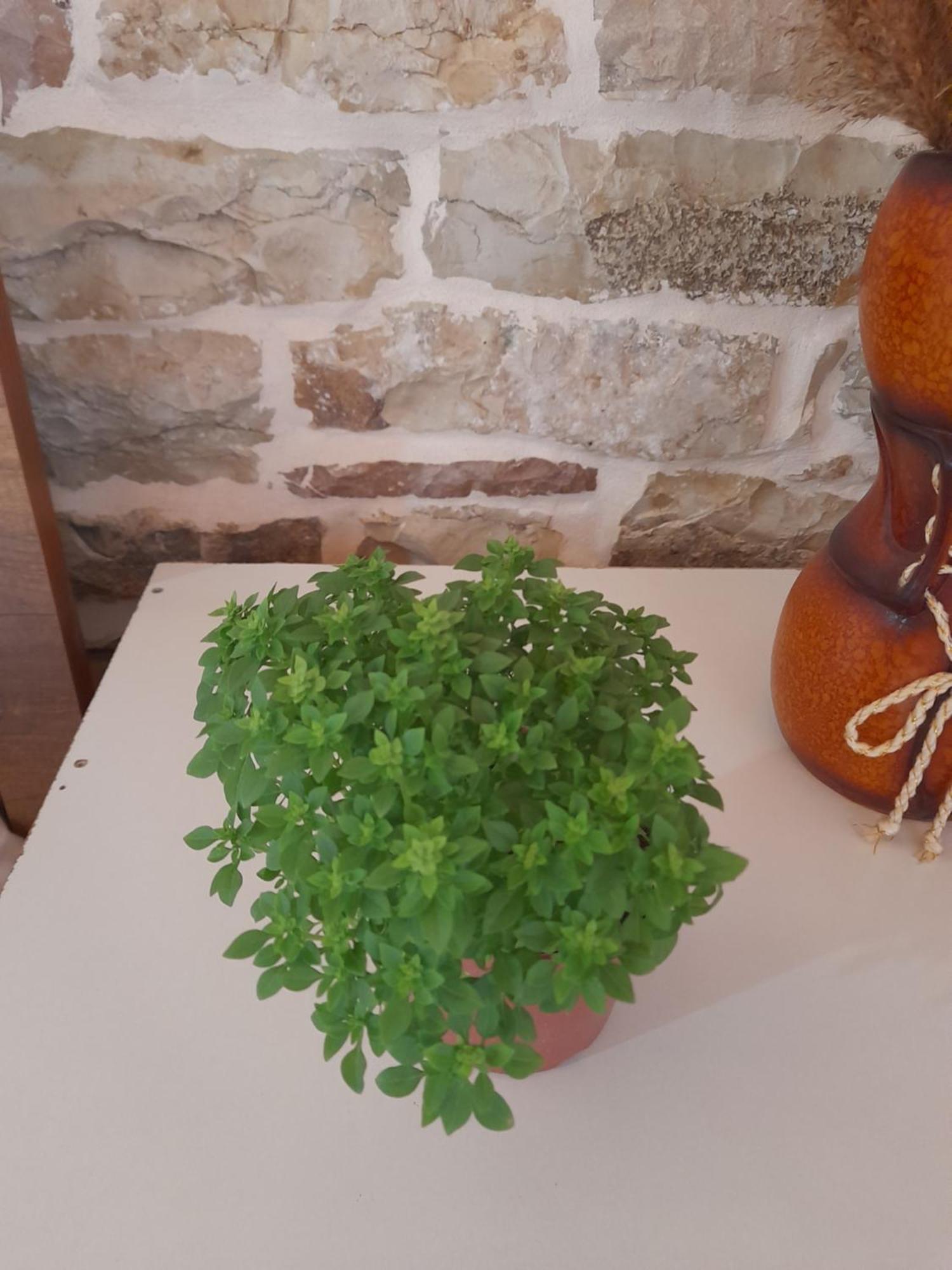 Guest House Ani Gjirokastër Dış mekan fotoğraf