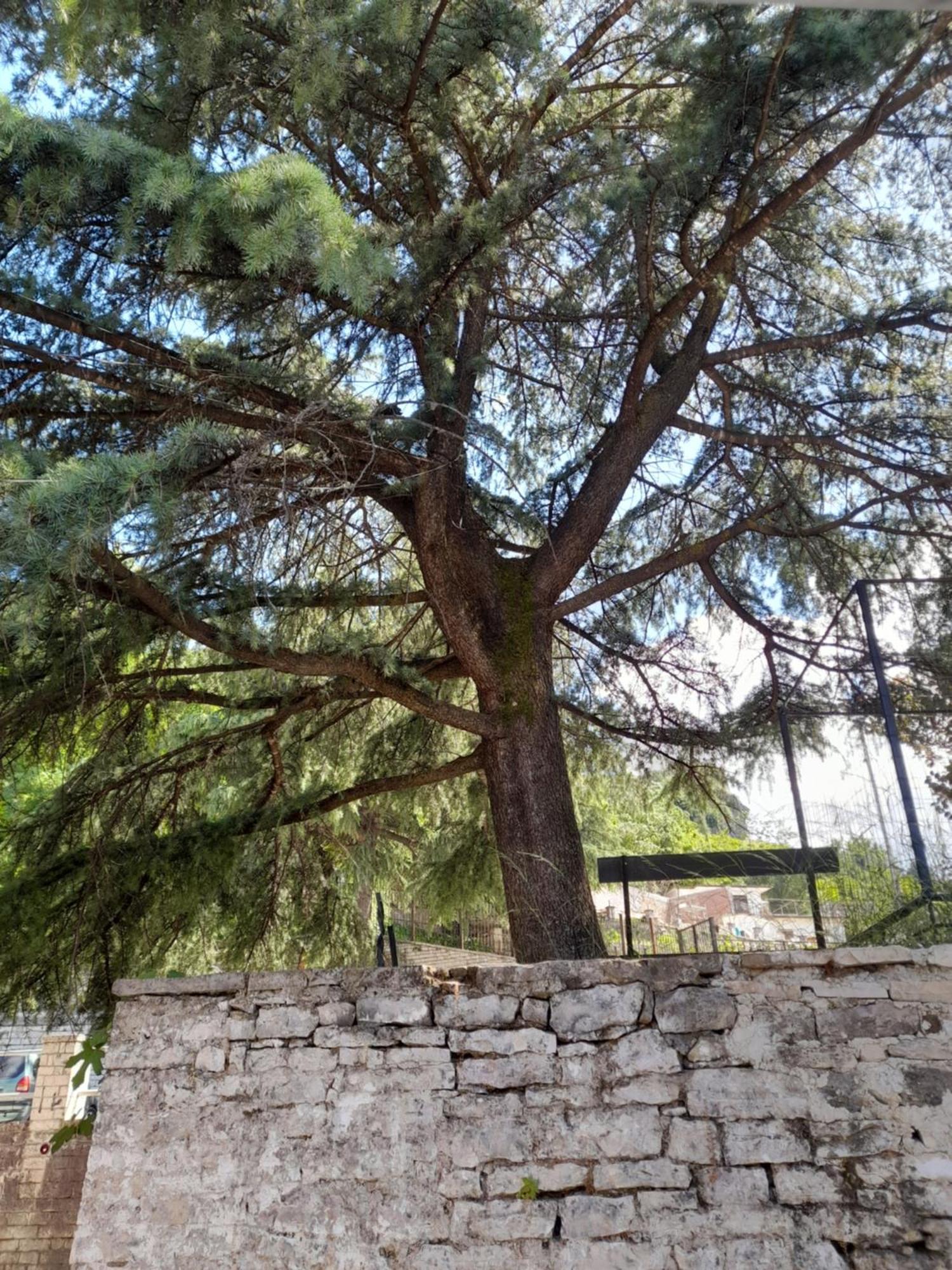 Guest House Ani Gjirokastër Dış mekan fotoğraf